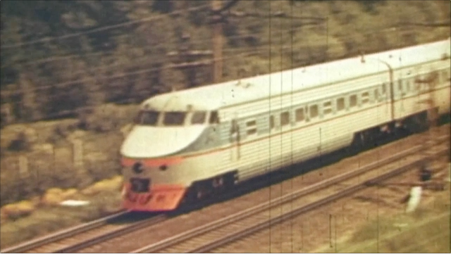 Dor-gramota-VULFOV_VSM