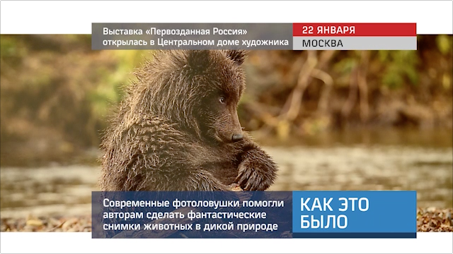 20160122_keb_vystavka_pervozdannaya_rossiya