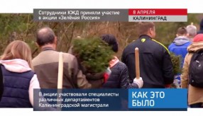 20160411_keb_zelenaya_rossiya