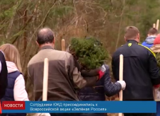 Screen Shot 2016-04-12 at 11.38.07