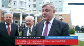 20160902_PR_gapanovich_derevo