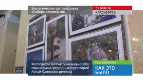 20170403_keb_ekovistavka_sibiry