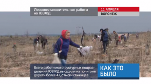 20170412_keb_les_visadka_uvzd