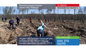 20170503_keb_ekologiya_aktsiya_les_pobedi