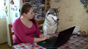 новости_31января_10_4