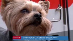 87826E60-4998-4E87-8671-DA566EF839D4