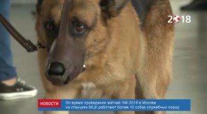 F5BBEB61-94F3-43DD-B006-025F484B923C