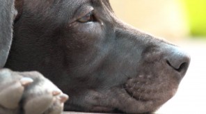 CD57587F-2064-477E-B649-6CA8822D9A20