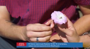 6B746C9E-A8AB-4DE1-BCA6-C3B8A652616C