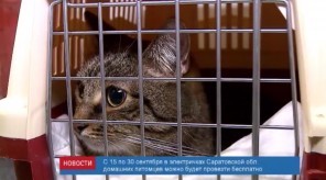 B60E7BFE-AA22-4764-9314-6C78AA3C2867