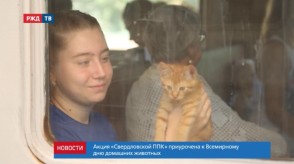 EAE14785-B77E-4F87-AF4A-534CD4E59C46