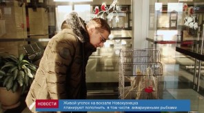 EE4146C8-6FE1-455B-8728-3BE76A75CE1A