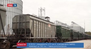 A3CC5E0B-EC06-4D64-8EDC-546F0F7F3DF8