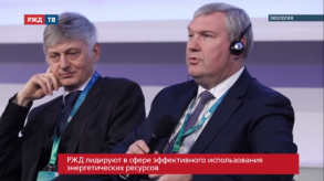 20190321_kobzev_energy