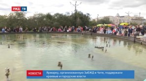 FC05D20E-B5FD-44F1-B981-3BF9A284439C