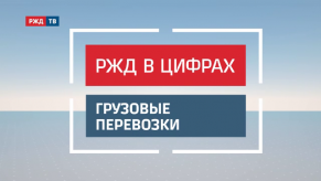 20191001_01_gryzovye