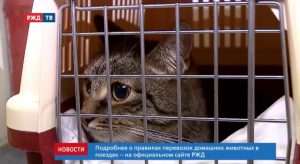 7097B395-2A55-4C2C-98BC-F3694668D54B