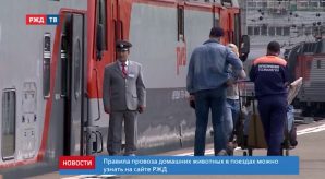 AEDF7DA0-1B73-4DB6-BA2B-0207F8EADA98