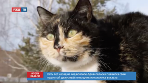 Снимок экрана 2020-03-02 в 10.06.33