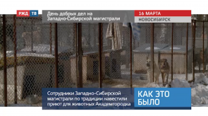 Снимок экрана 2020-03-19 в 10.58.43