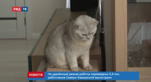 8C30DB6B-4E40-46E3-85AB-297C9770196E