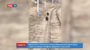 Снимок экрана 2020-04-14 в 18.34.55