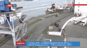 Снимок экрана 2020-06-03 в 15.00.06