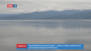 20200723_новости_10_1