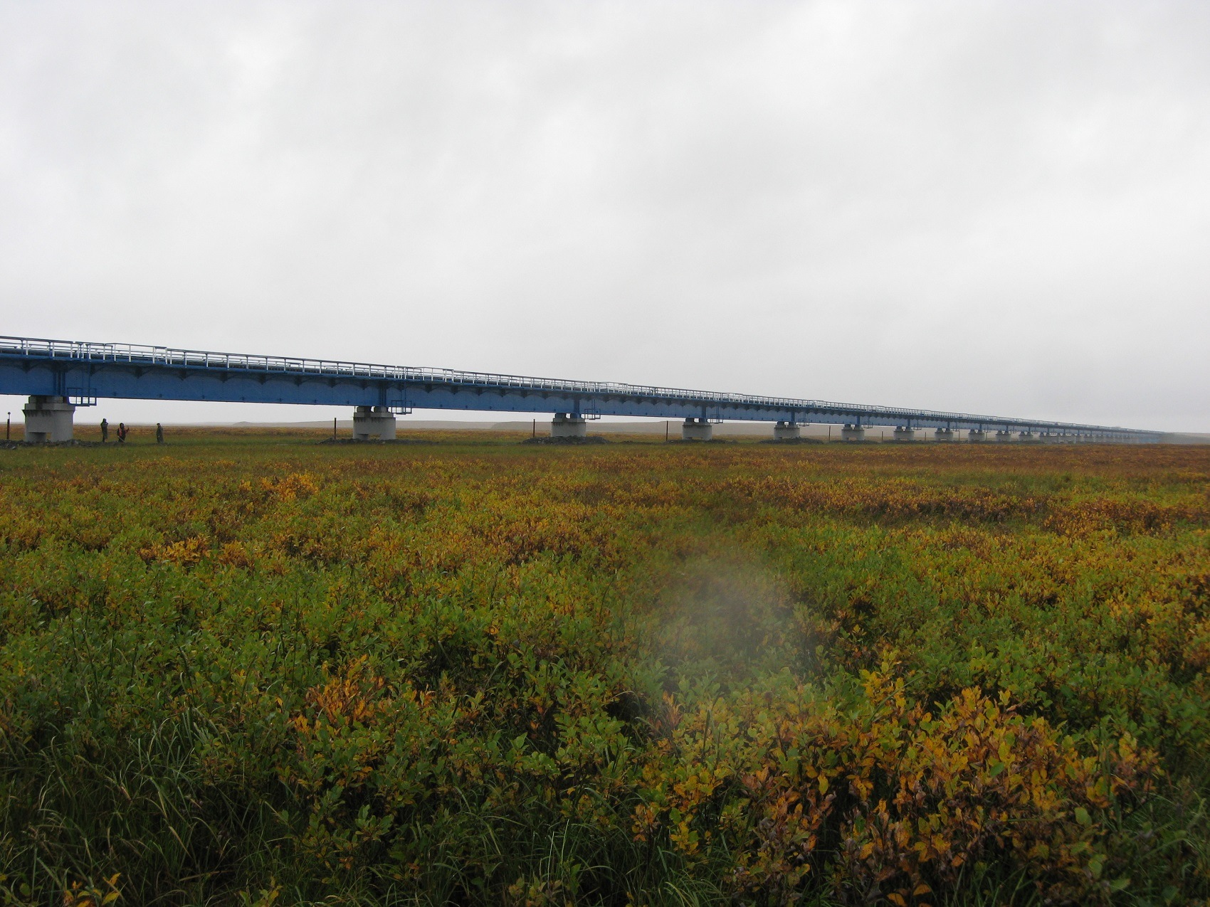 INZH_vypusk_01_Most_cherez_Uribey_02