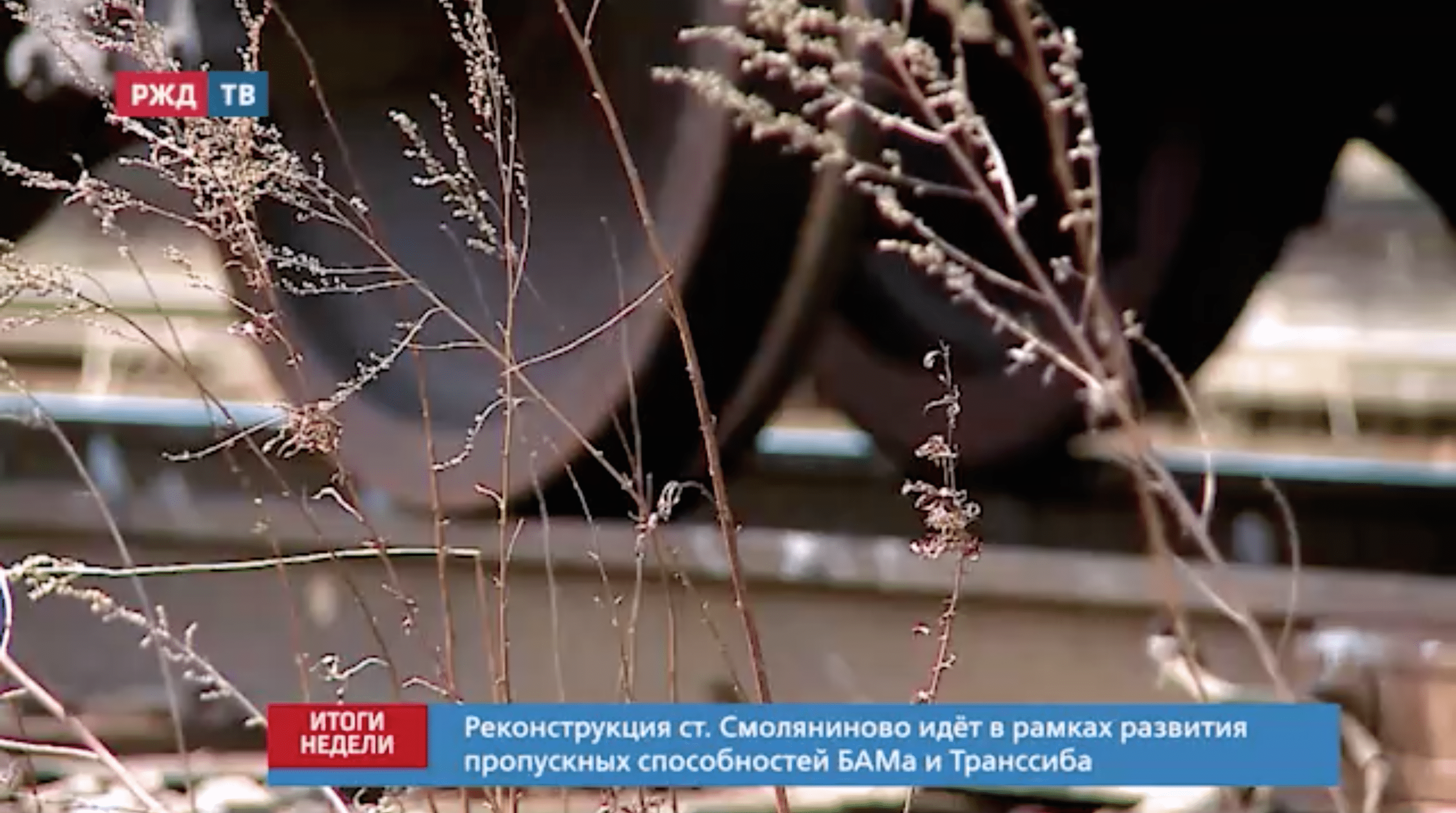 Снимок экрана 2021-04-26 в 14.20.50