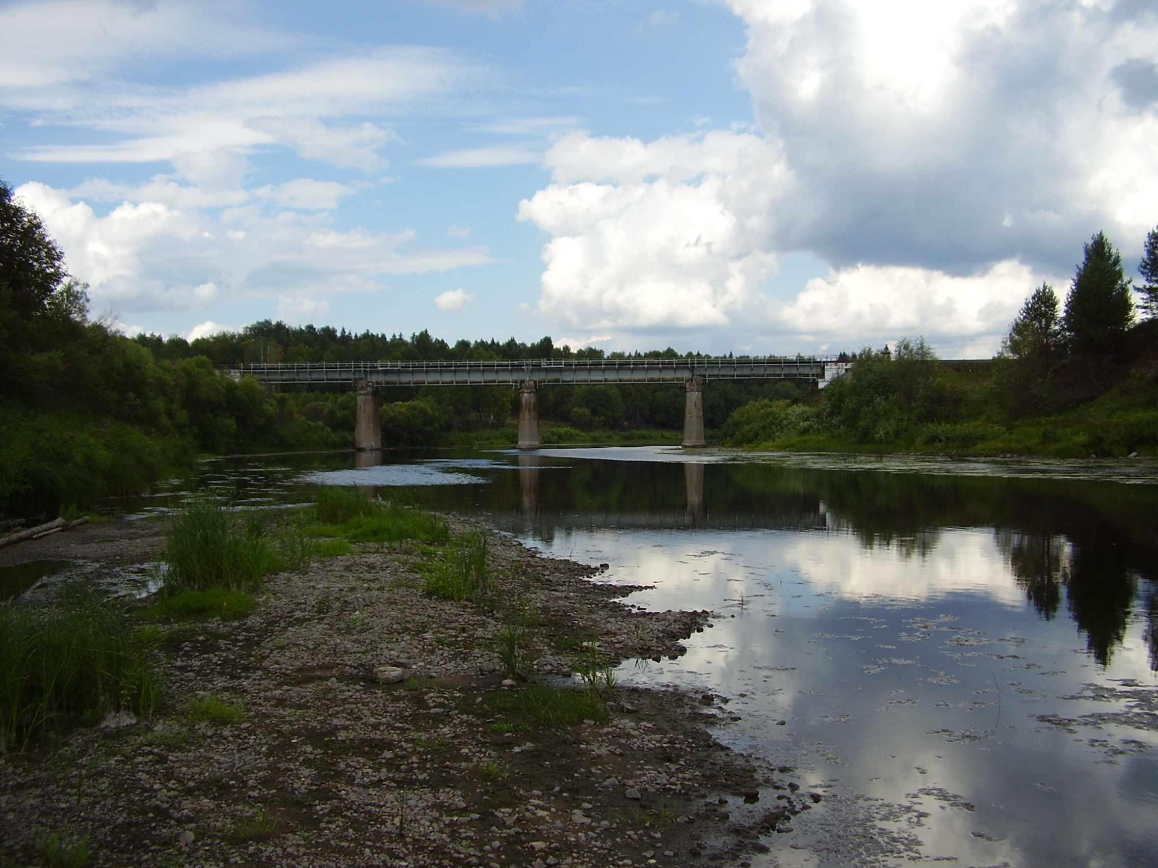 OLYMPUS DIGITAL CAMERA