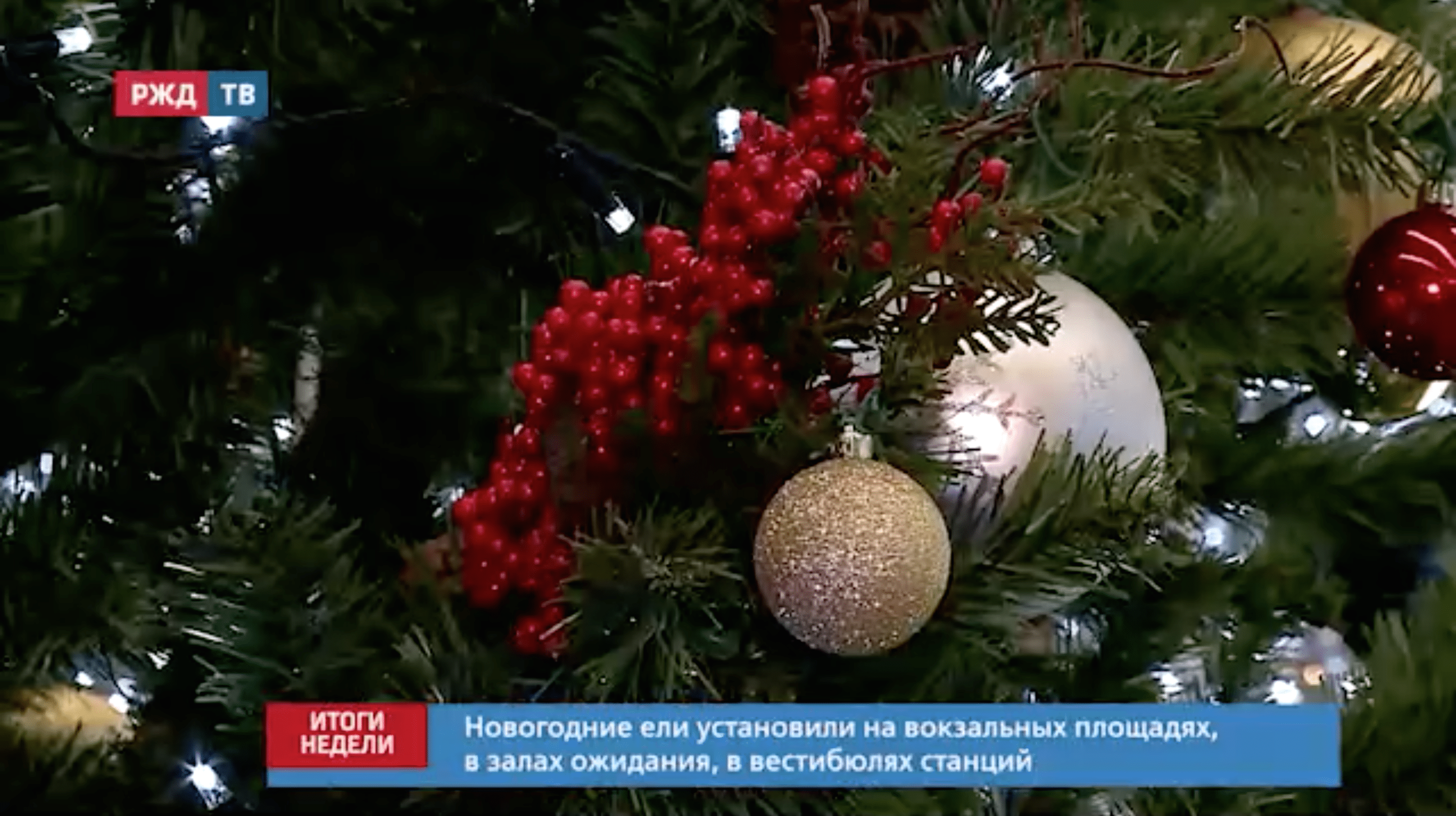 Снимок экрана 2021-12-27 в 14.24.51