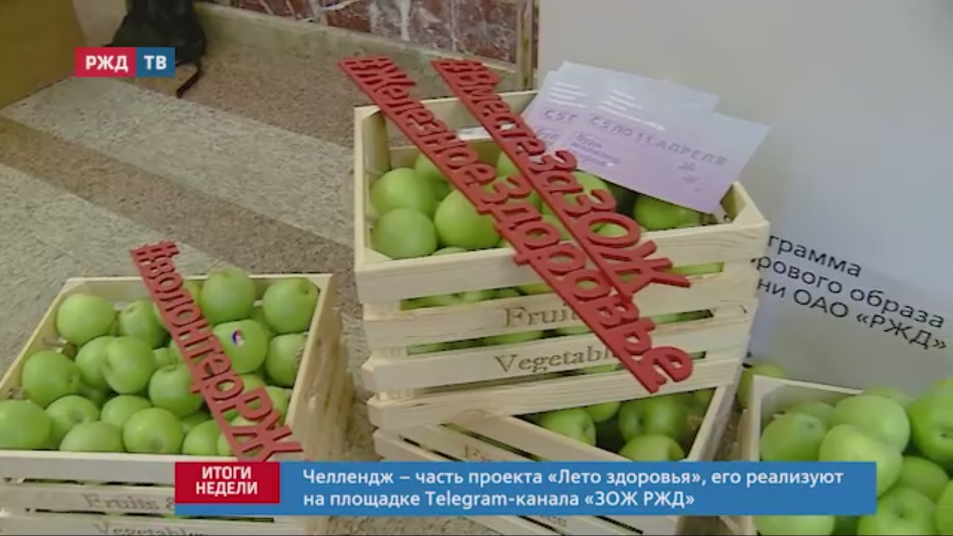 летоздоровья