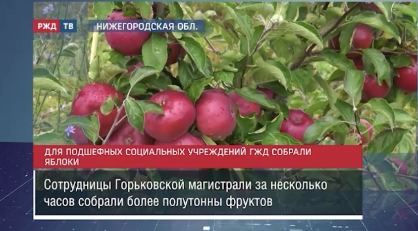 28F22F78-317F-4FB7-99F4-4A9A3562DB32