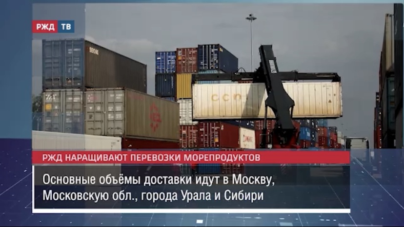 859C58FF-23DB-4CA1-AE98-5EF8FEE289DD