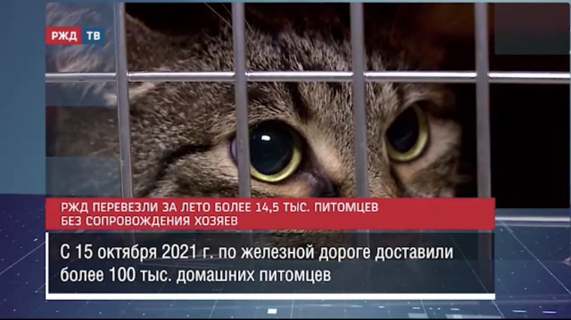 C4C6C42C-143D-49A5-8C17-CFBC05881F0E