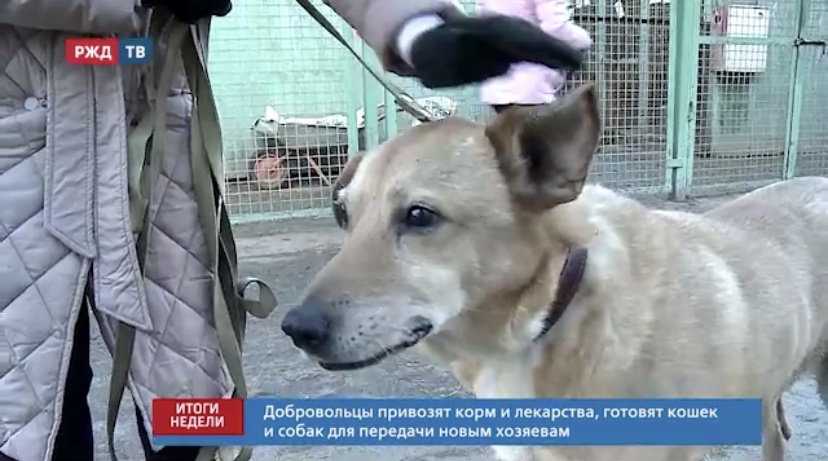 C28BBFC3-A5D6-4181-9364-4D903723FFBC