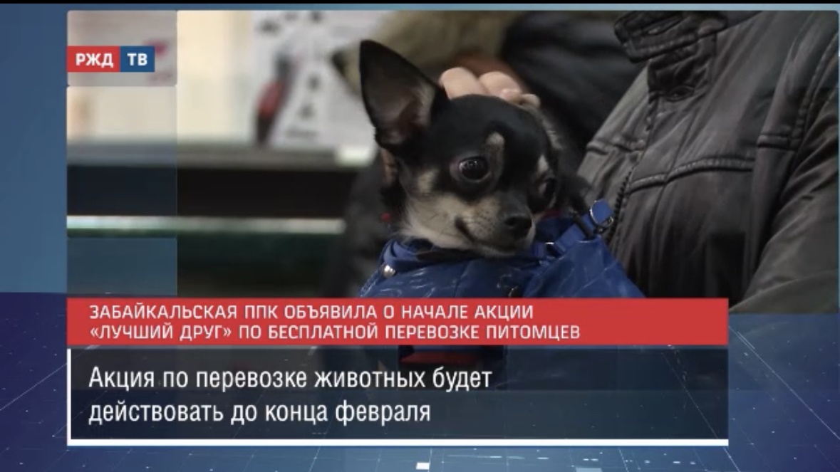 7A392979-0509-41ED-BCC4-6BBB6466E4AC