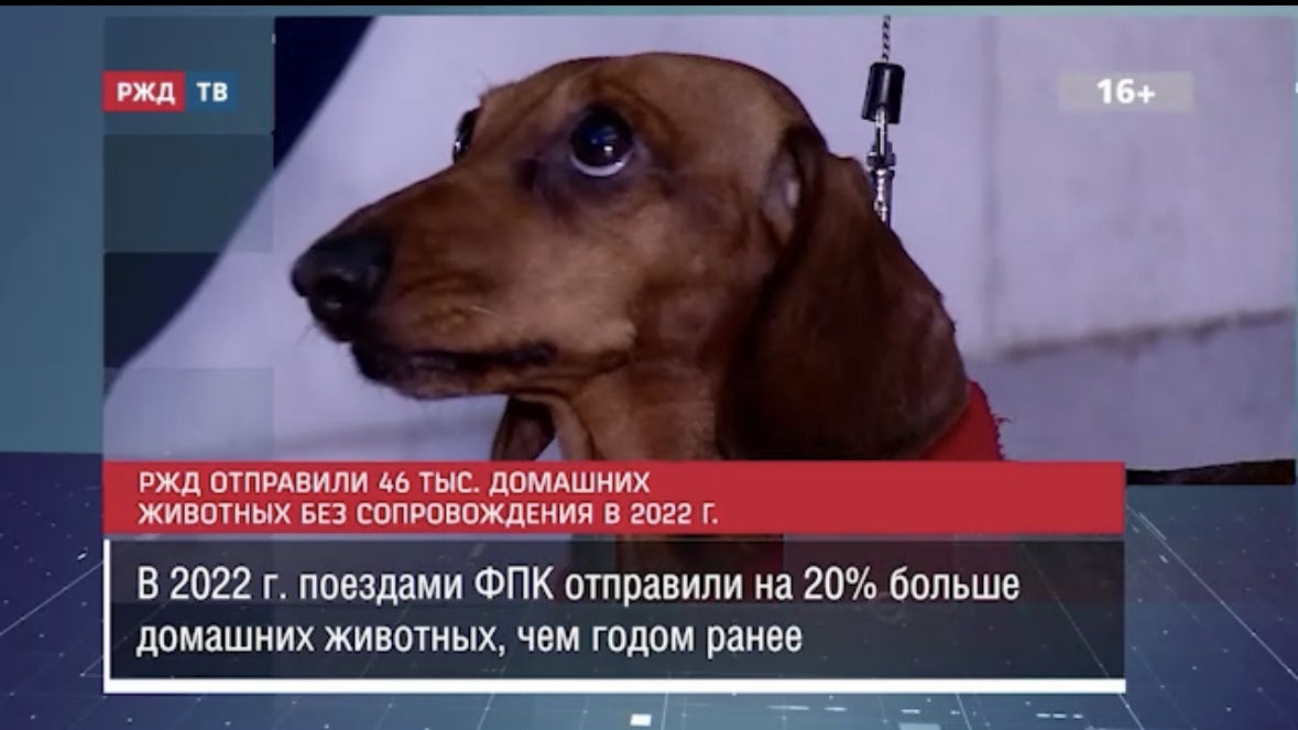 CAE46D1F-CAA3-4CCE-B1FB-A54C194B991C