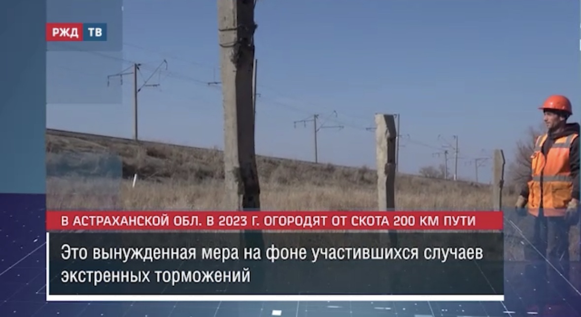 5E1D31AE-A165-478D-A8C9-A1B073FD8F1D