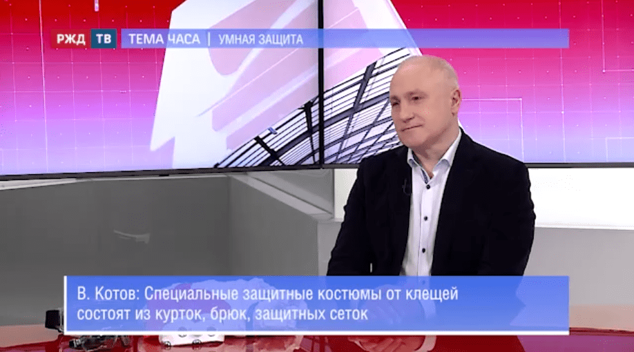 тема часа котов