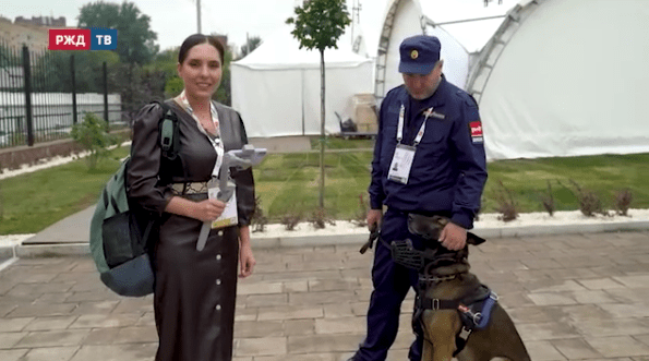 безопасность бакурская