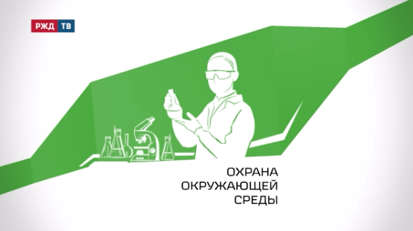 сторис беленкова