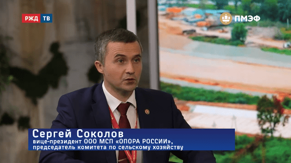 медиа соколов