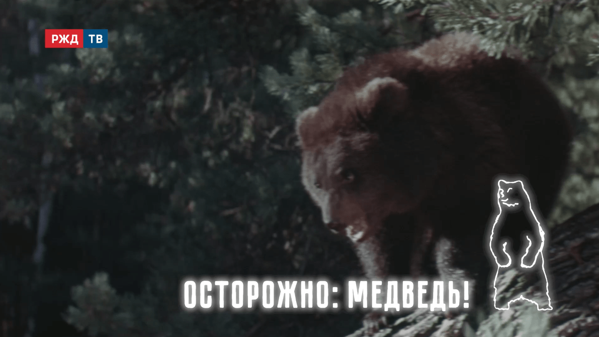 бамприрода