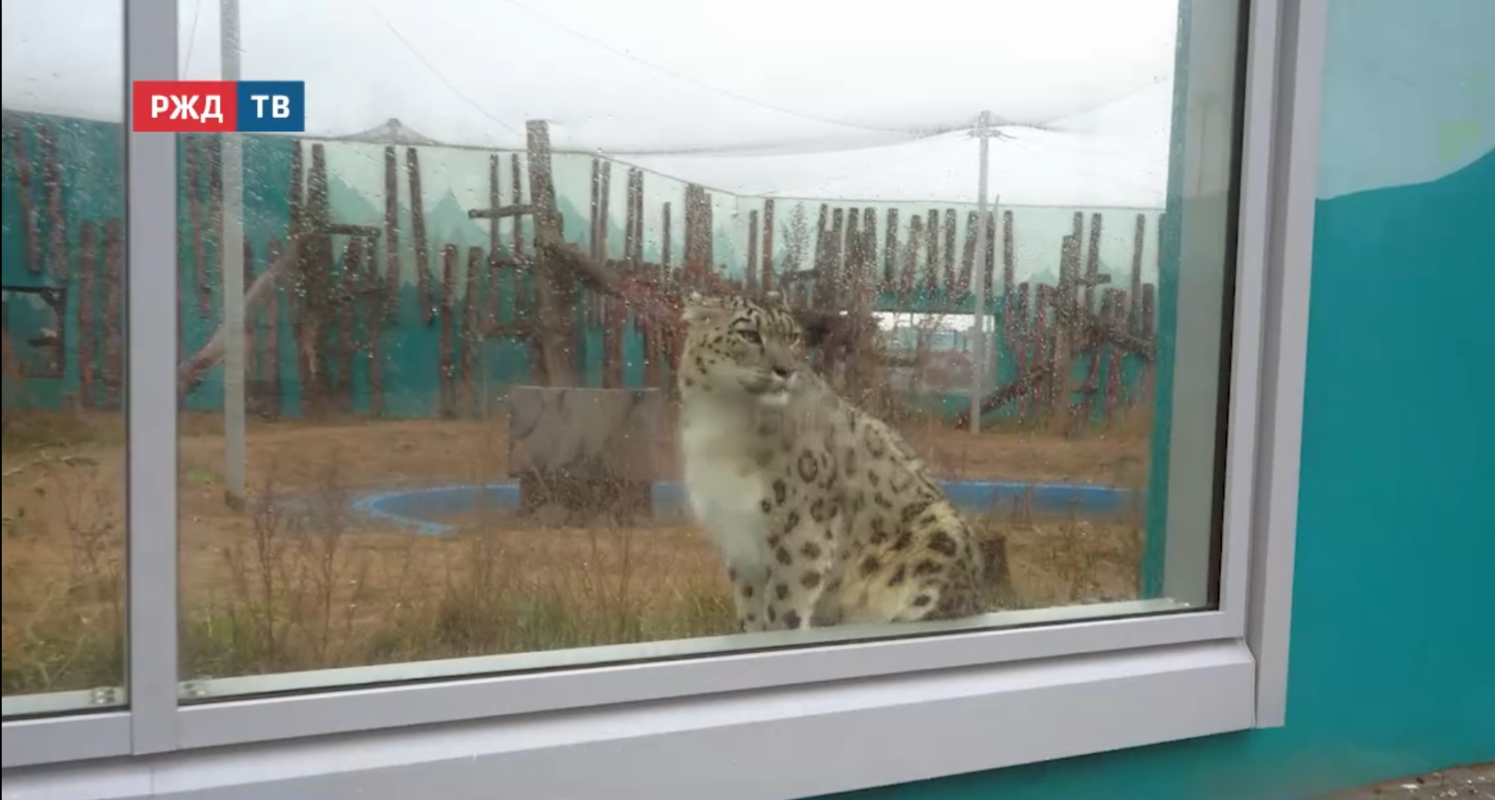 Новости_20251027_12_4